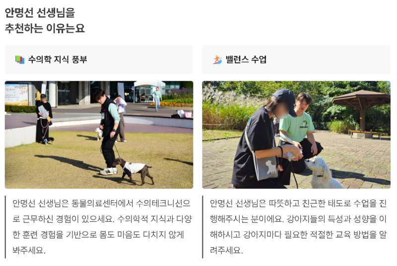 사진 9