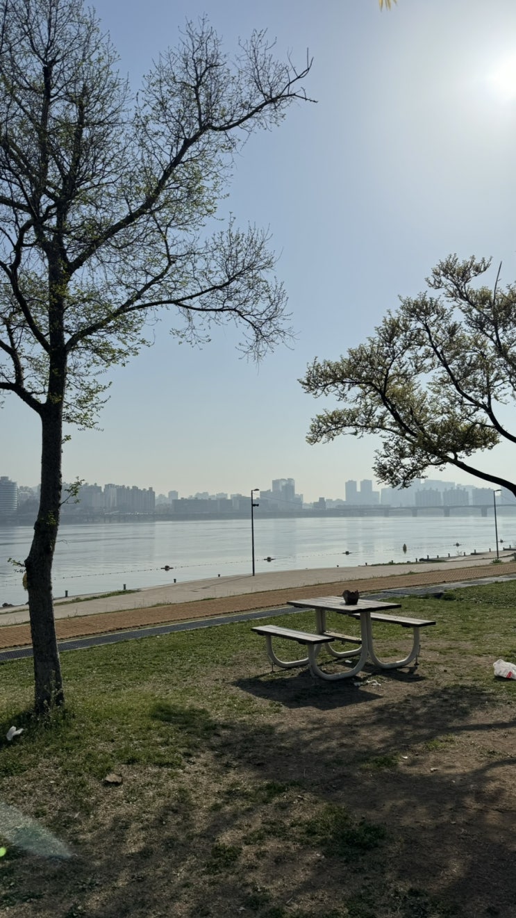  여의도 한강공원 주차꿀팁, 자전거 대여 가격, 배달존 이용방법
