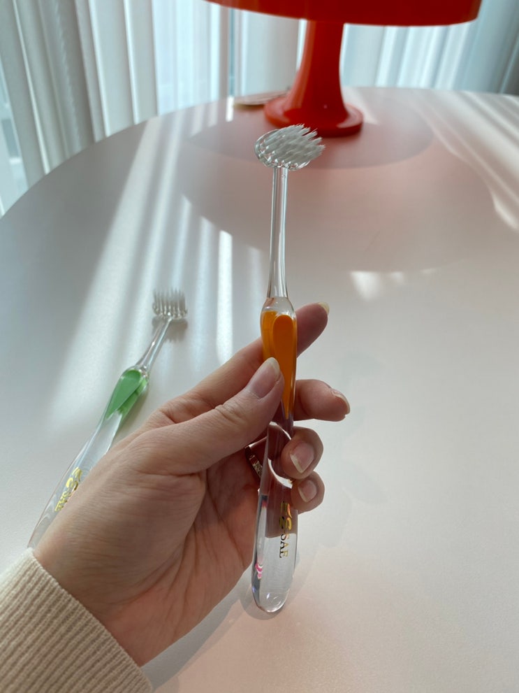  치아관리에 좋은 칫솔추천 이새칫솔