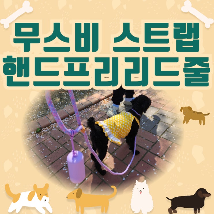 댕과 나의 연결 고리무스비 스트랩 핸즈프리 리드줄 너무예뻐!! 내돈내산