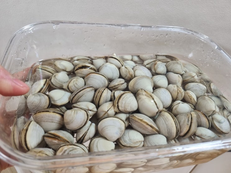  손으로 채취한 담백한 서해안 갯벌 동죽조개 1kg 쿠팡 주문 후기