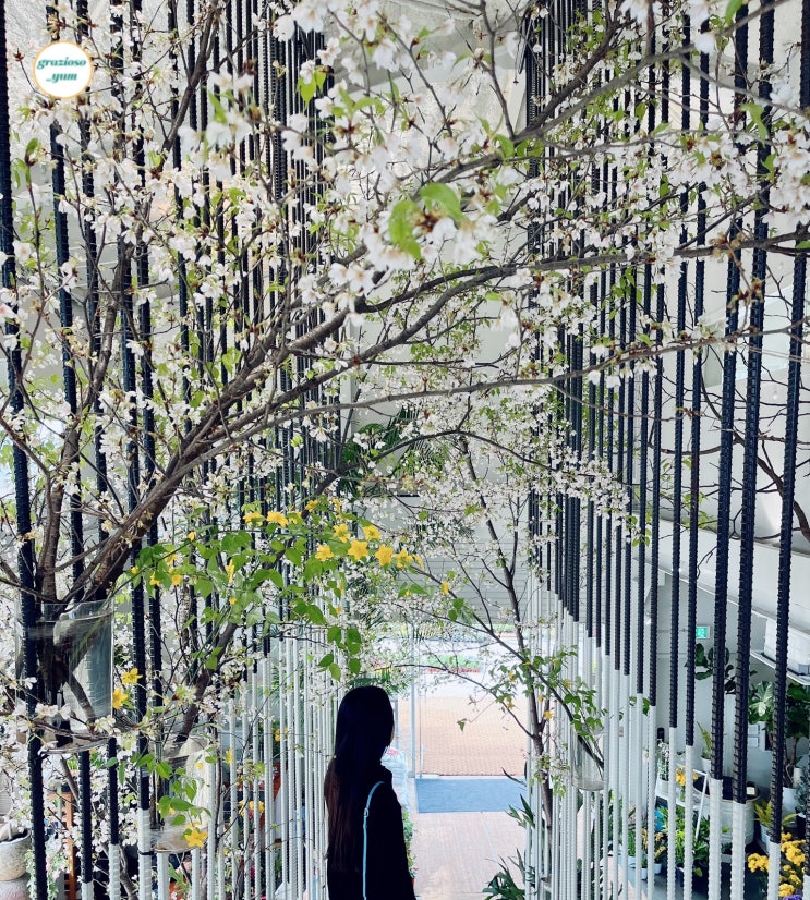 고양 원당 공릉천 물구리빵집* 내돈내산 뷰좋은 야외카페 꽃놀이 나들이 고양 원당 공릉천 물구리빵집* 내돈내산 뷰좋은 야외카페 꽃놀이 나들이