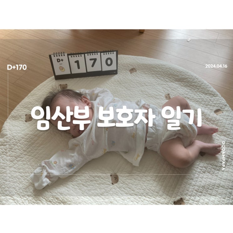 오늘도 도담이와 산책을 D+170 오늘도 도담이와 산책을 D+170