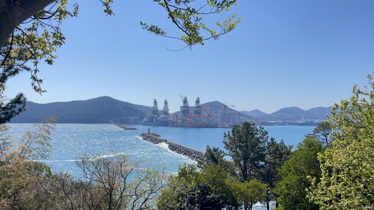 벤지 반려견 산책하기 좋은곳 옥포대첩기념공원