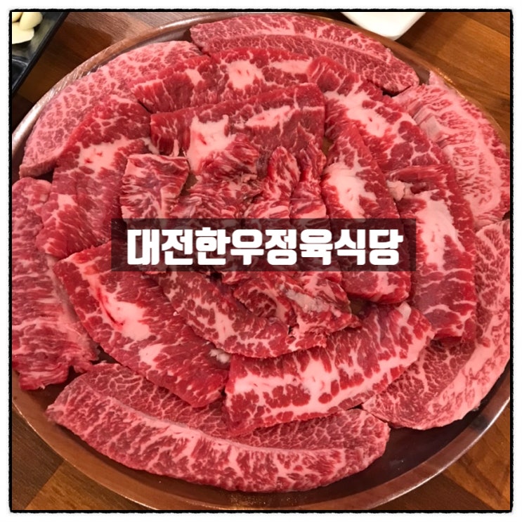  대전한우정육식당 대전롯데 용문역고기집 괴정동한우 맛집 투뿔한우 맛 후기