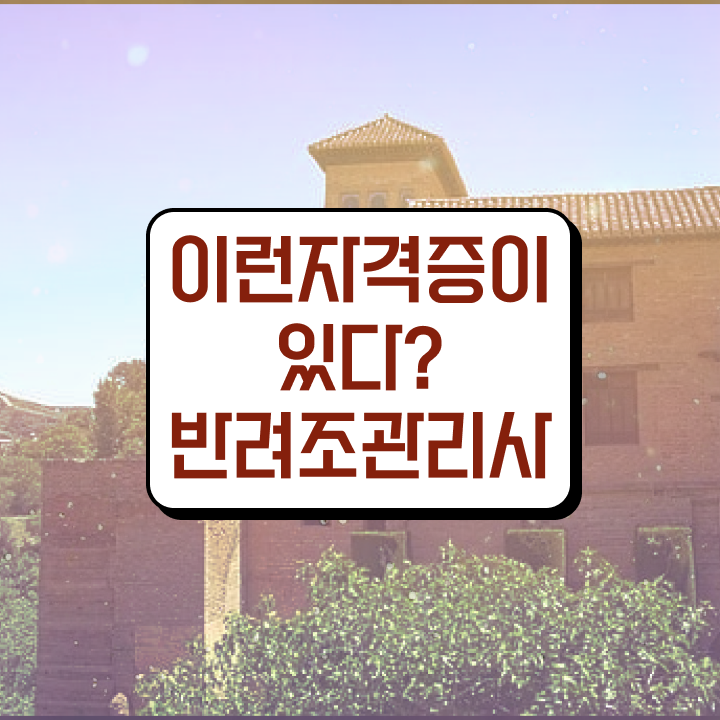  코뉴어 앵무새 키우기 , 반려조관리사 자격증 취득 정보 여기서 확인하세요