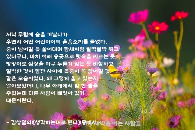 .......저녁 .......저녁