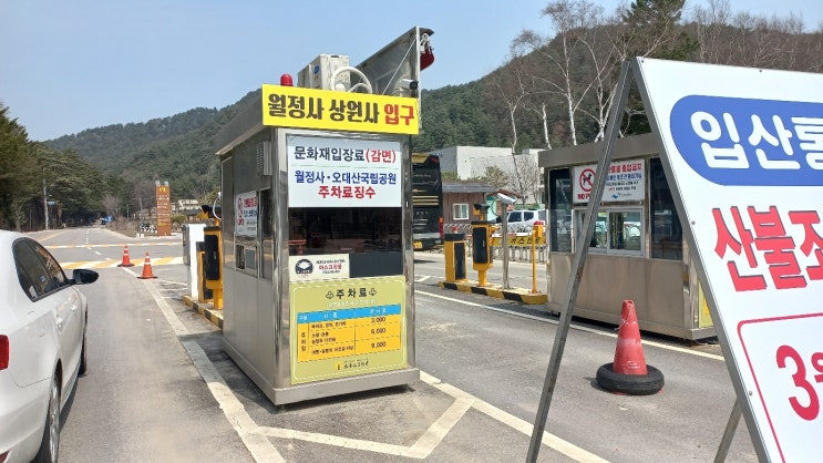  월정사 선재길 등산하기