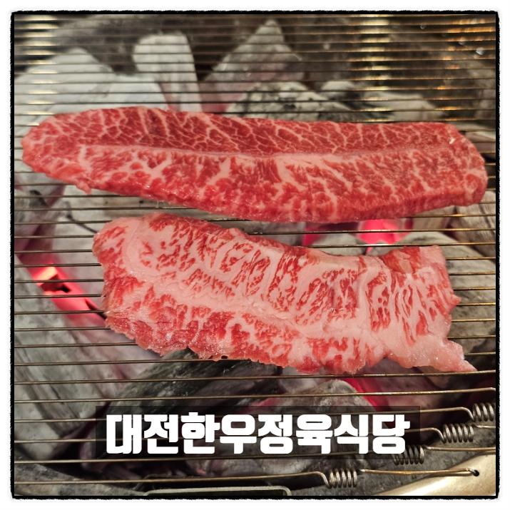  괴정동한우 맛집 대전한우정육식당 최고의 마블링 투뿔한우 용문역고기집 힐링하고 왔어요
