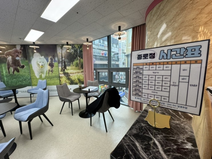  종로애견미용학원 야간반 시간 조정 가능한 곳