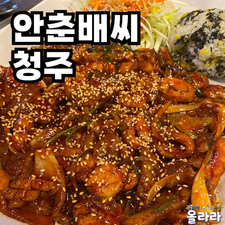  청주산남동핫플레이스 안춘배씨 청주곱도리탕