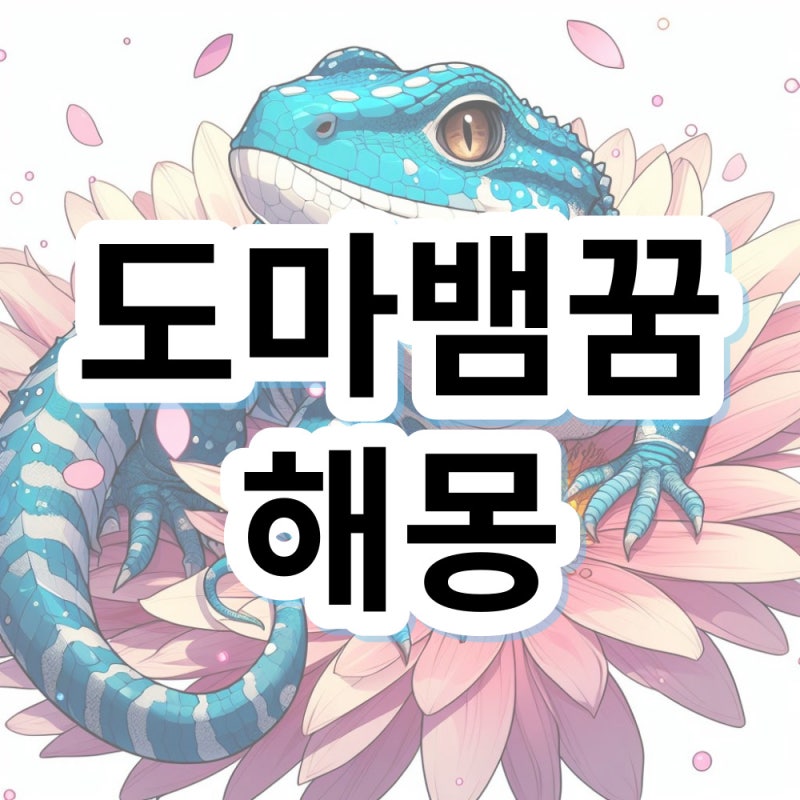큰 도마뱀 나오는 꿈 해몽 의미 살펴봐요