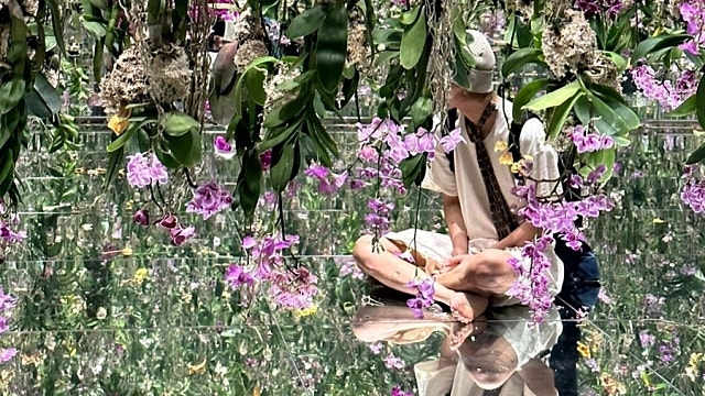 News image: Taetaeland