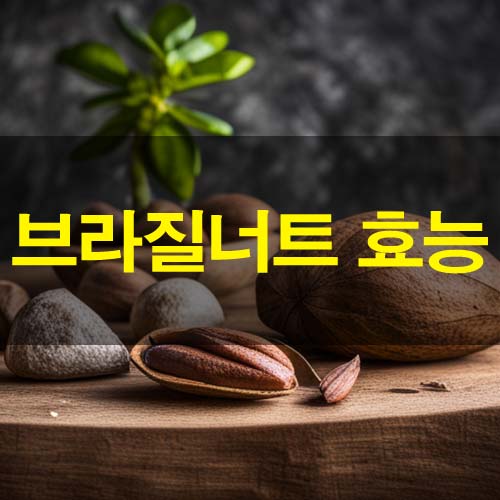  브라질너트 효능 및 부작용 하루 권장량