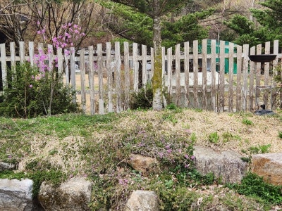 사진 13