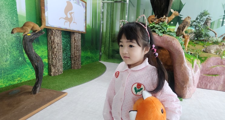  영주 가볼만한곳 여우생태관찰원