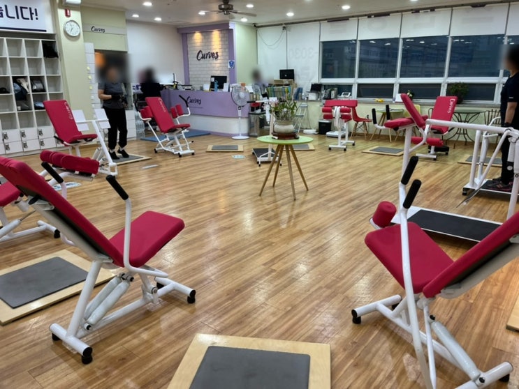  커브스 맞춤형 관리와 함께하는 새로운 시작, 대전 휘트니스 센터 이용기