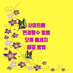  저와 함께 사이트 연결 오류 해결해보세요!