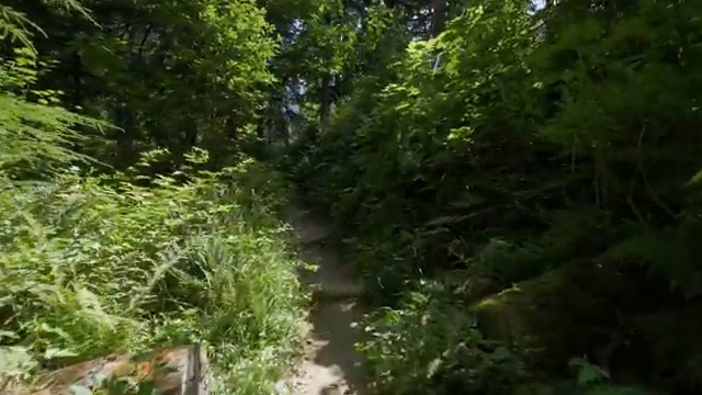  대구반려동물장례 , 반려동물관리사 자격증 인강으로 간편하게 합격한 후기 및 활용 방법과 전망