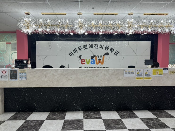  인천애견미용학원 국비 창업한다면 장학지원 추천