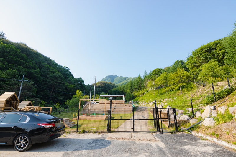 사진 9