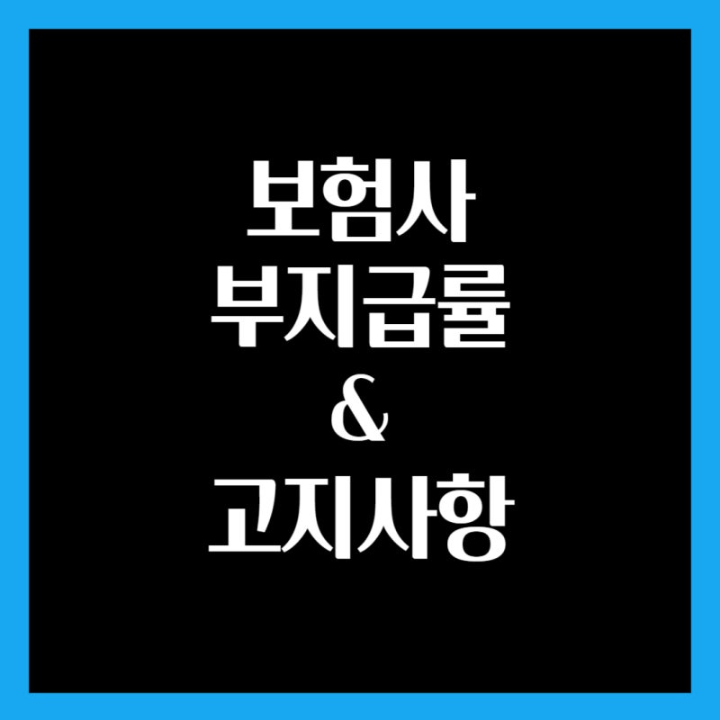 손해보험사 부지급률