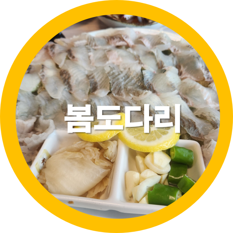 구미횟집 봄도다리 송정동에 위치한 산호횟집에서  - 내돈내산