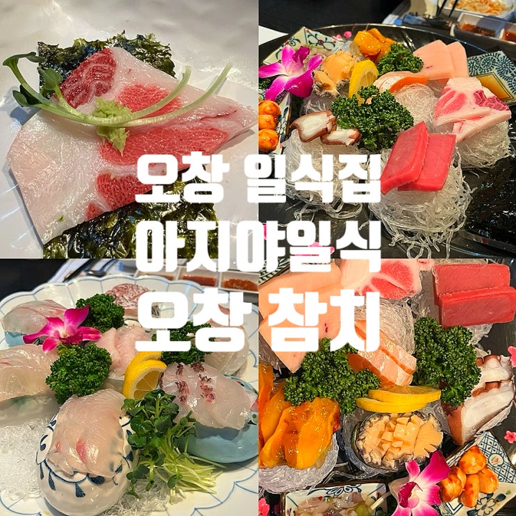  청주 룸식당 오창일식집 아지야일식 참치 코스요리 후기