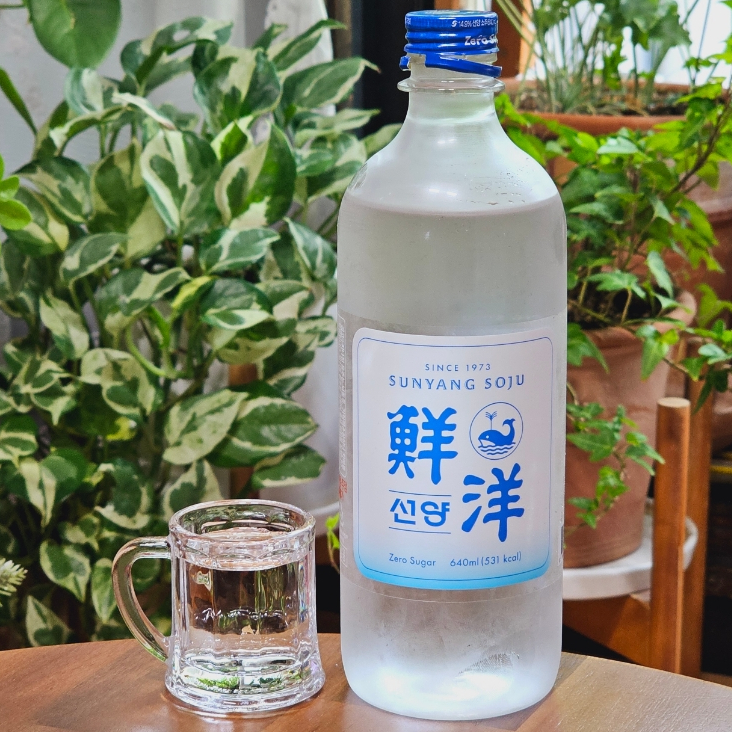  선양 소주 지역 파는곳 가격 모델 도수 칼로리 맛