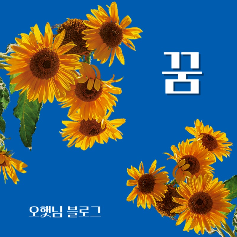 벌떼 벌집 말벌 관련 꿈 해몽 해석 모음집