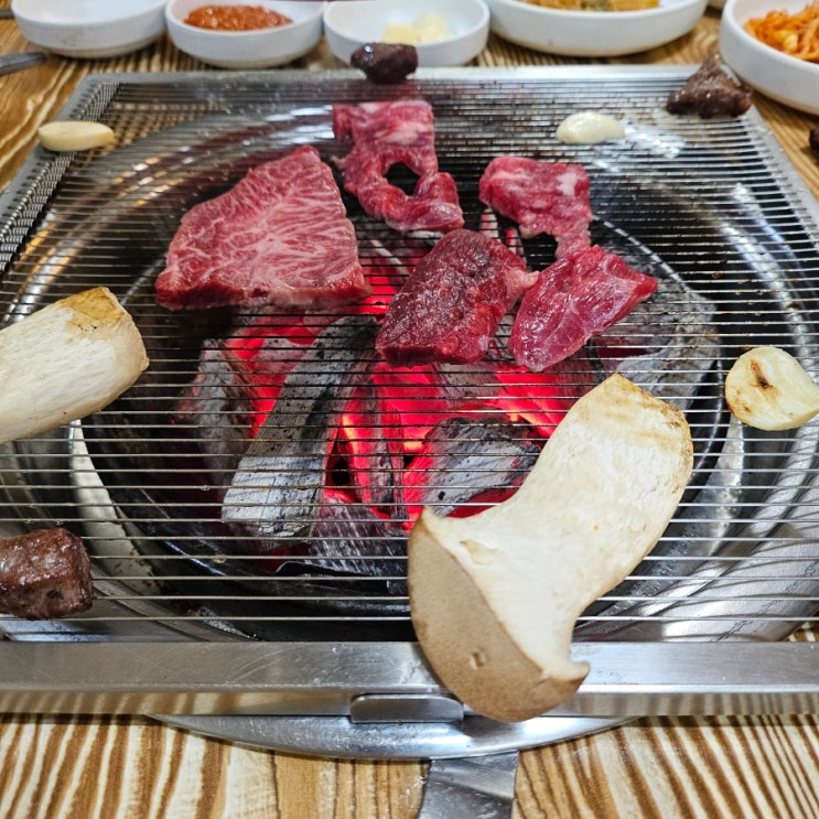  짼이의 04월 일상 - 2번째