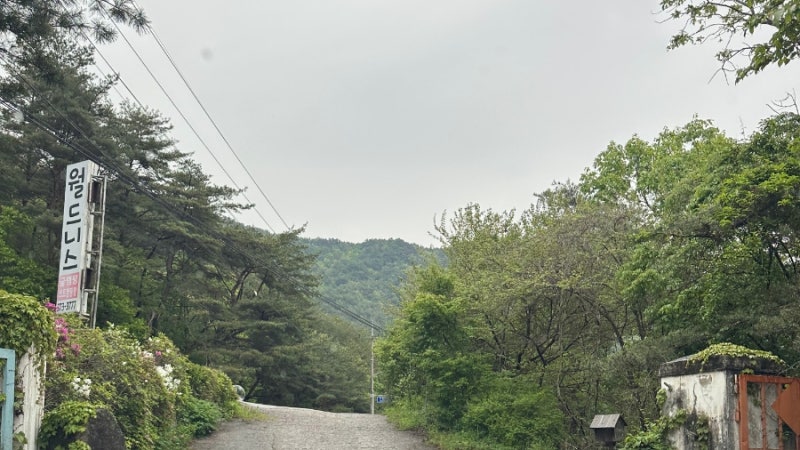 월드니스오토캠핑장