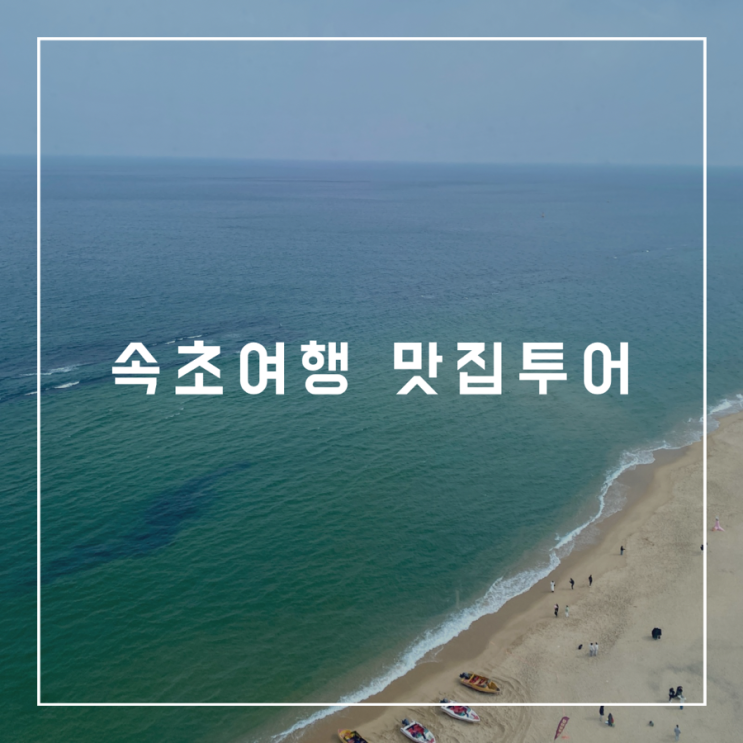  속초여행 맛집투어 속초중앙시장, 대포항 대게포장, 생선구이, 모녀가리비