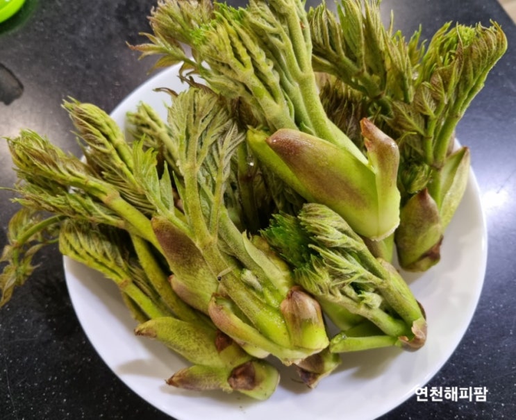  자연산 산두릅 두릅데치기꿀팁 두릅전 두릅짱아치