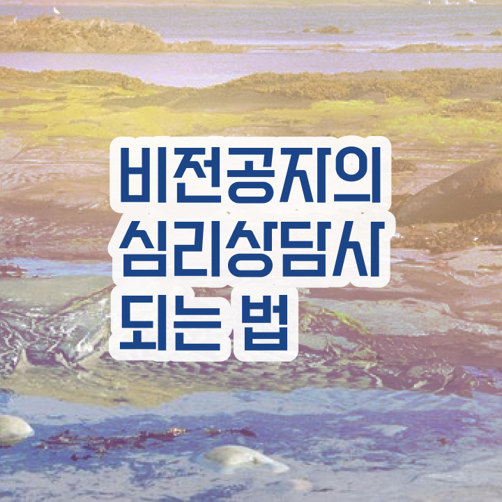  심리상담학과 , 심리상담사 자격증 온라인 과정 요약