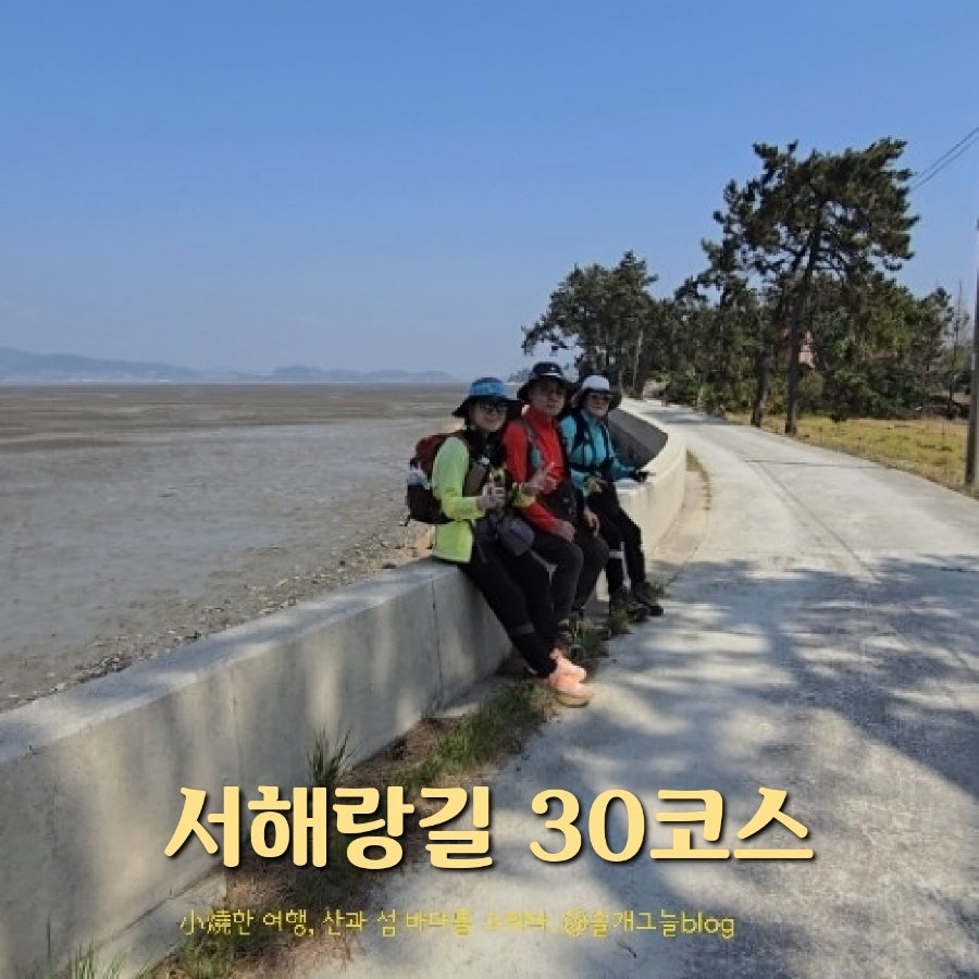 서동제 사진 1