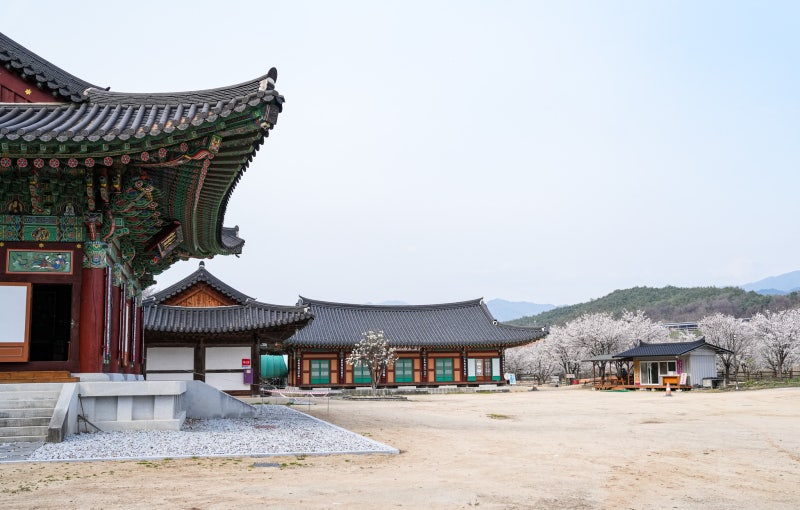 2024 봉화군 서포터즈] 봉화를 대표하는 사찰인 지림사에서 만난 ...