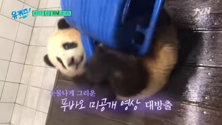  유퀴즈송바오 240회 오승희 송영관 사육사 편