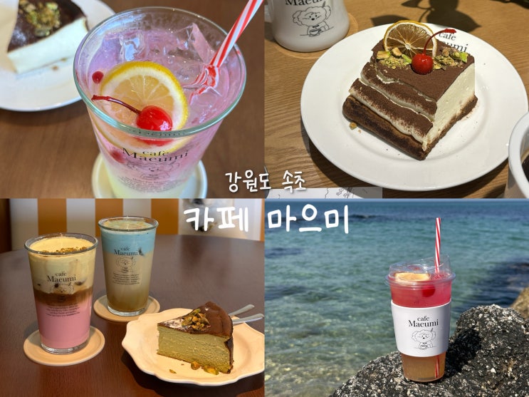 [강원도 속초] 맛있고 분위기좋은 바다뷰 장사항 애견동반카페 ‘카페마으미’