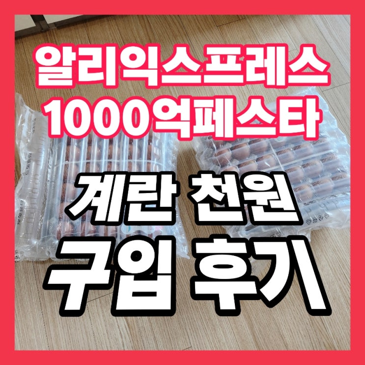  알리 익스프레스 1000억 페스타 계란 구입 후기