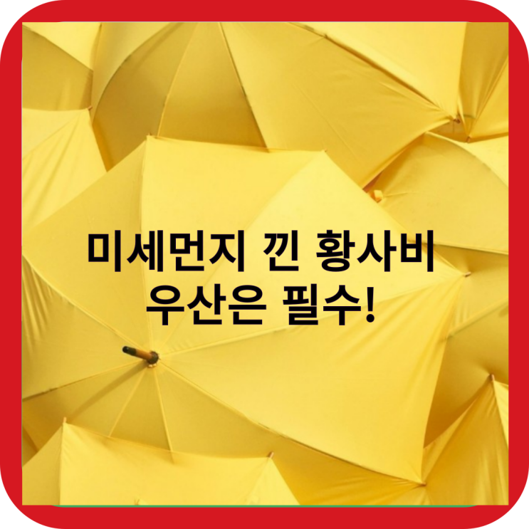 오늘의 날씨 미세먼지 낀 황사비 맞으면 안 되는 이유,  우산 준비하세요~