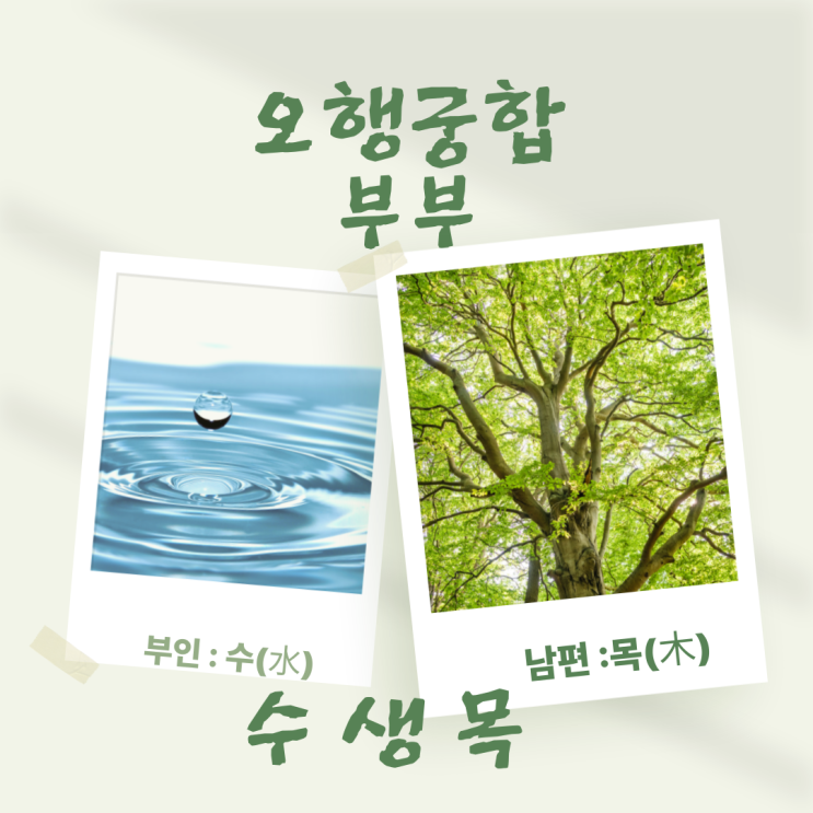  가족 궁합 이런 비밀이! 사주 오행 컬러로 보는 오행 궁합