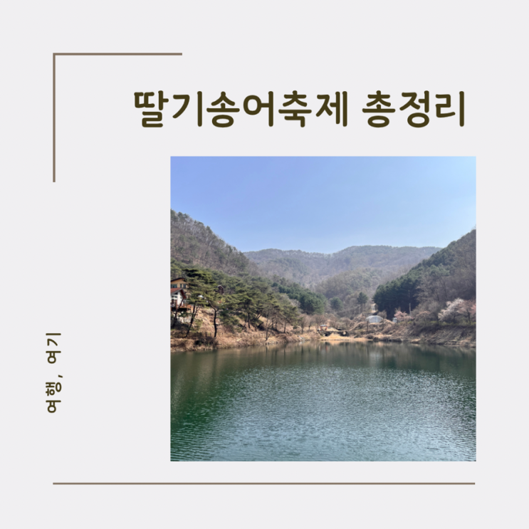  양평딸기송어축제 경기도 가볼만한 곳 총정리 200배 즐기기