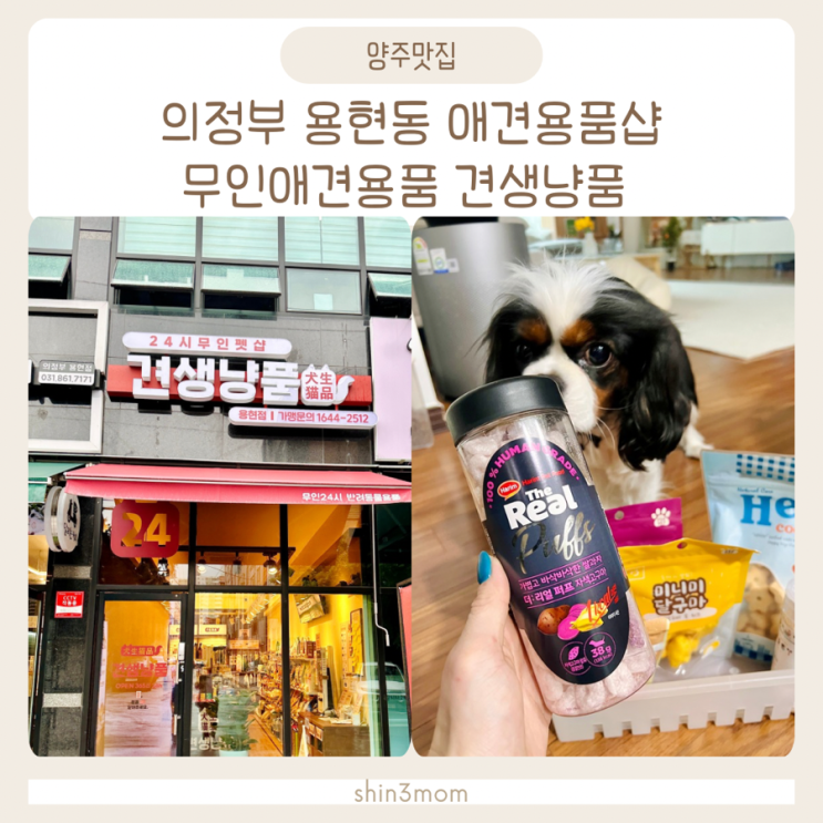  의정부 용현동 애견용품샵 무인애견용품 견생냥품 강아지간식