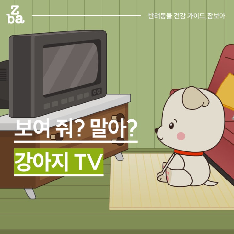  강아지 티비 보여줄까? 말까?