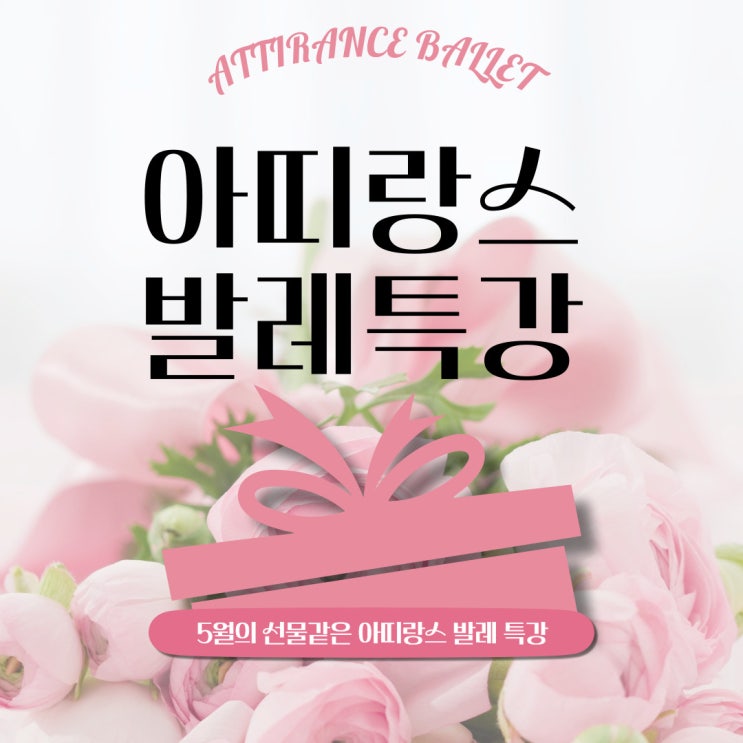  안양발레:: 5월의 선물, 아띠랑스발레 특강!!
