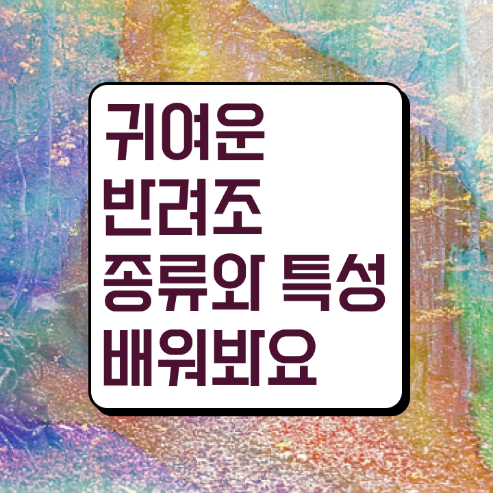  그린칙코뉴어앵무새 , 반려조관리사 자격증 전망과 취업 방법 여기만 보세요