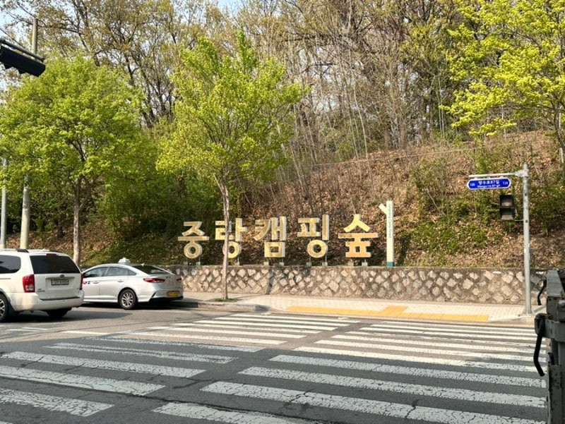 서울 캠핑장 추천 - 캠린이 중랑 캠핑숲 후기(명당 추천, 지도 Tip, 시설, 주차)