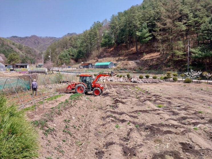  4월 봄의 밭 일기 -1탄
