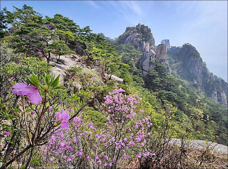  도봉산 송추마을 원점회귀 산행(여성봉, 오봉, 자운봉, 사패산)